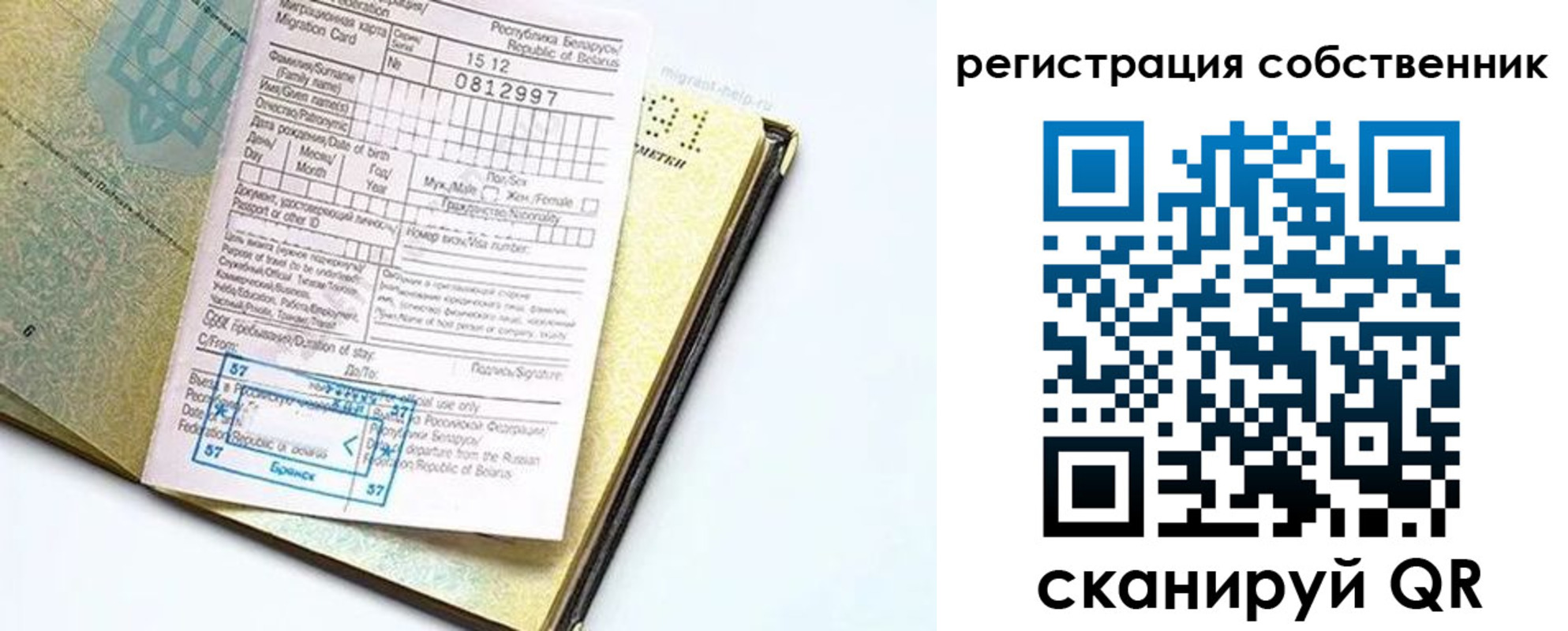 прописка законно в Светлом